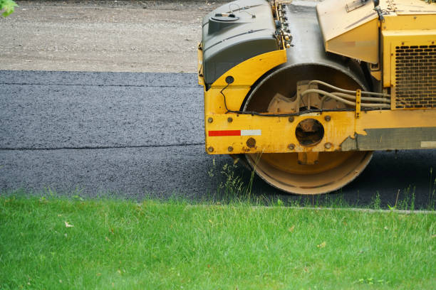 Best Local Driveway Pavers  in Butte, AK
